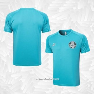 Camiseta de Entrenamiento Palmeiras 2023-2024 Verde