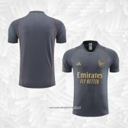 Camiseta de Entrenamiento Arsenal 2023-2024 Gris