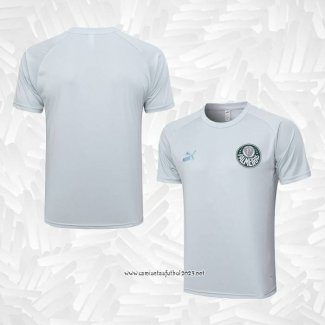 Camiseta de Entrenamiento Palmeiras 2023-2024 Gris